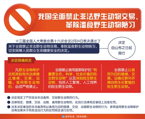 健康安全网最新动态，构建更安全的健康环境