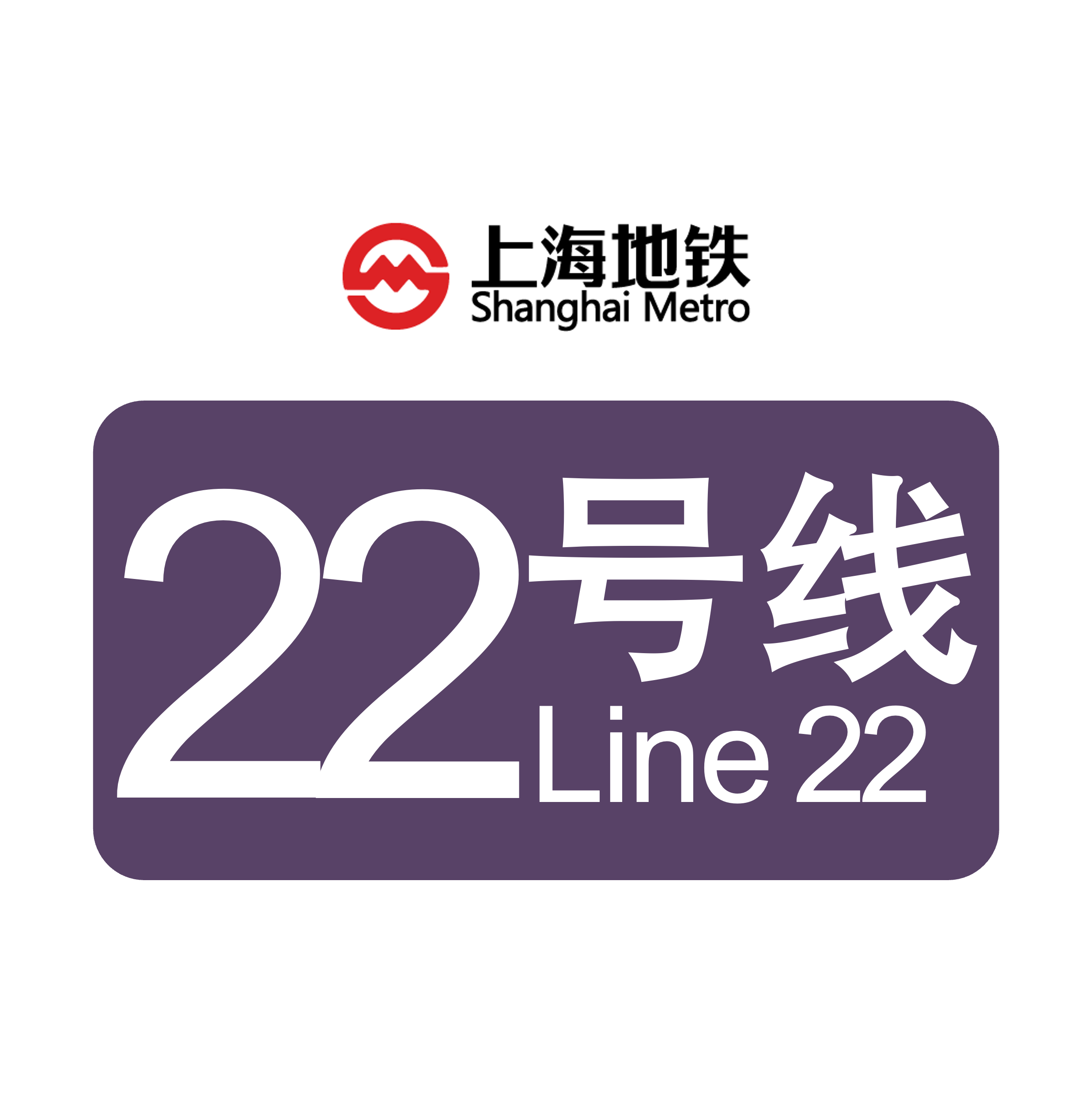 上海轨道交通22号线最新动态概览