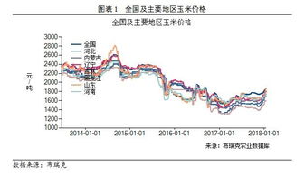 玉米保护价政策最新动态，保障农民利益，推动农业可持续发展