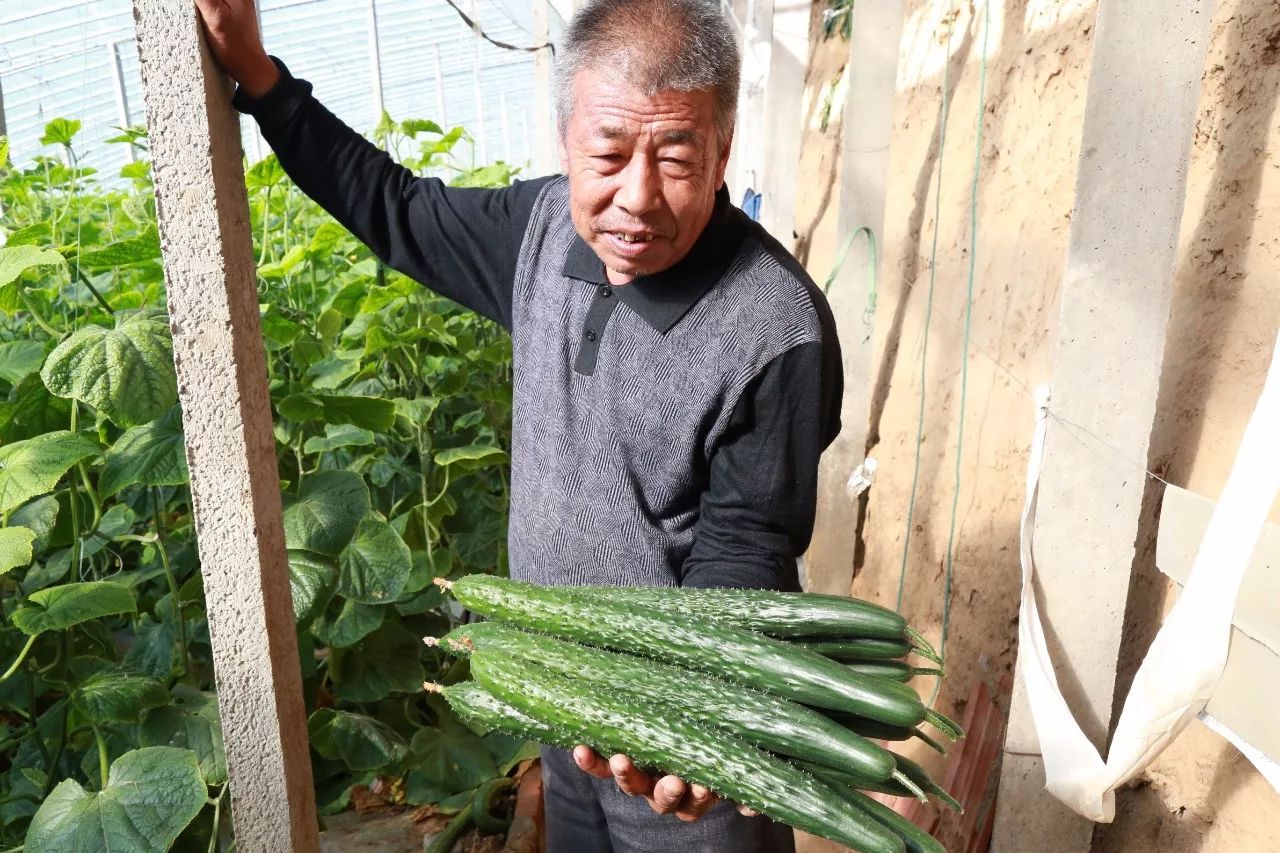 闪耀幸福的光芒 第5页