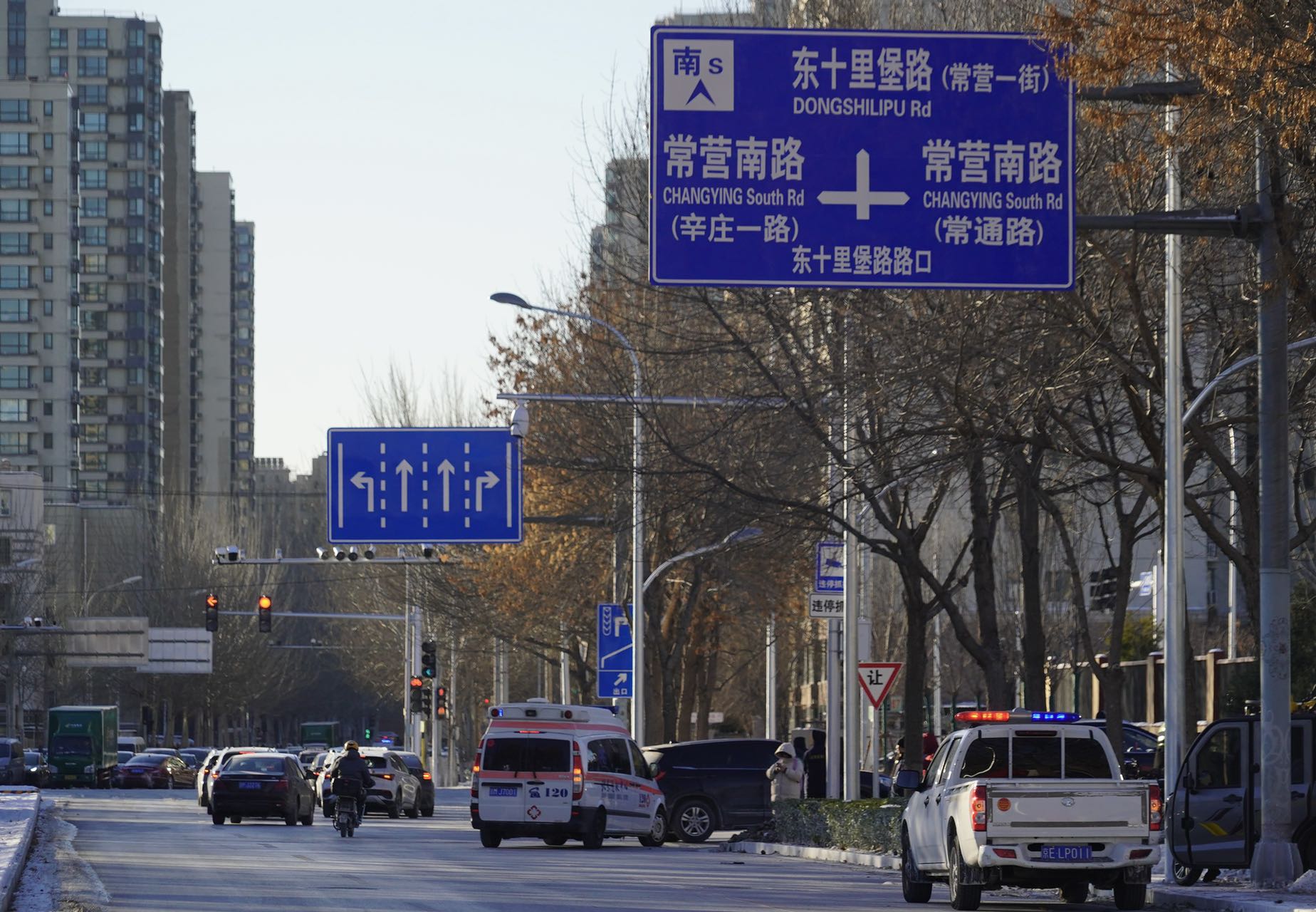 东仪路市场繁荣景象揭秘，最新消息与未来展望