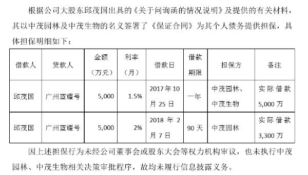 中茂最新消息视频发布，企业动态与行业趋势深度解读