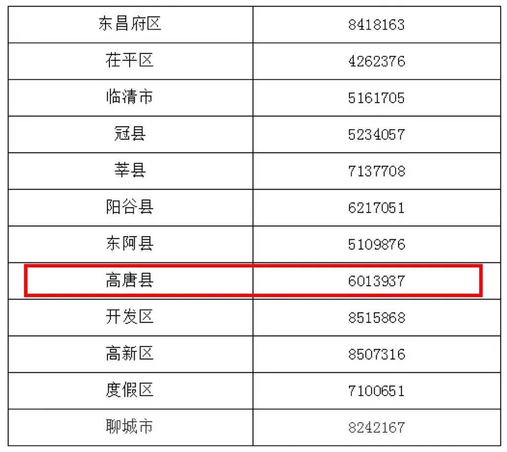 聊城高唐贴吧最新消息概览，一览无遗的实时资讯