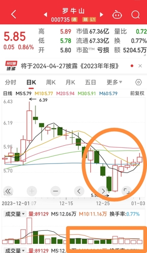 罗牛山股票最新消息全面解析