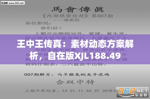 7777788888王中王传真,深入解析数据策略_精装款38.349