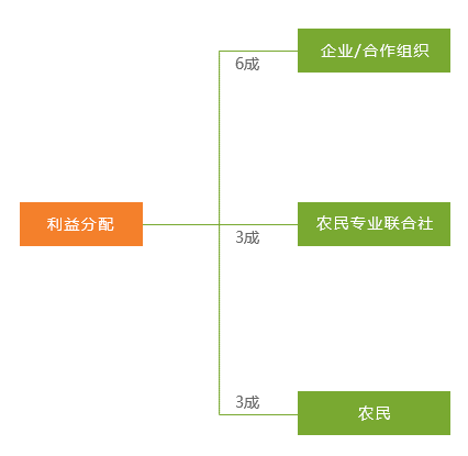 新澳正版资料与内部资料,现状解答解释落实_旗舰版56.926