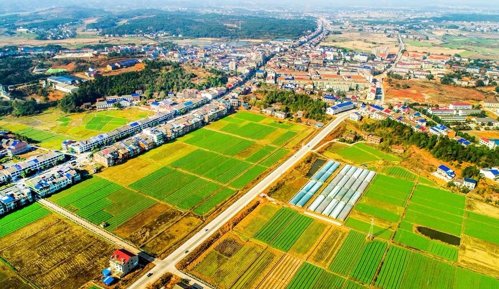 中排乡升平镇新项目，地方经济发展的新引擎