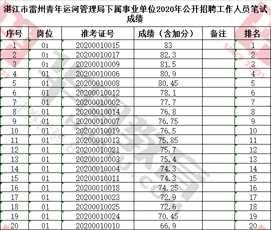 雷州市应急管理局最新招聘公告详解