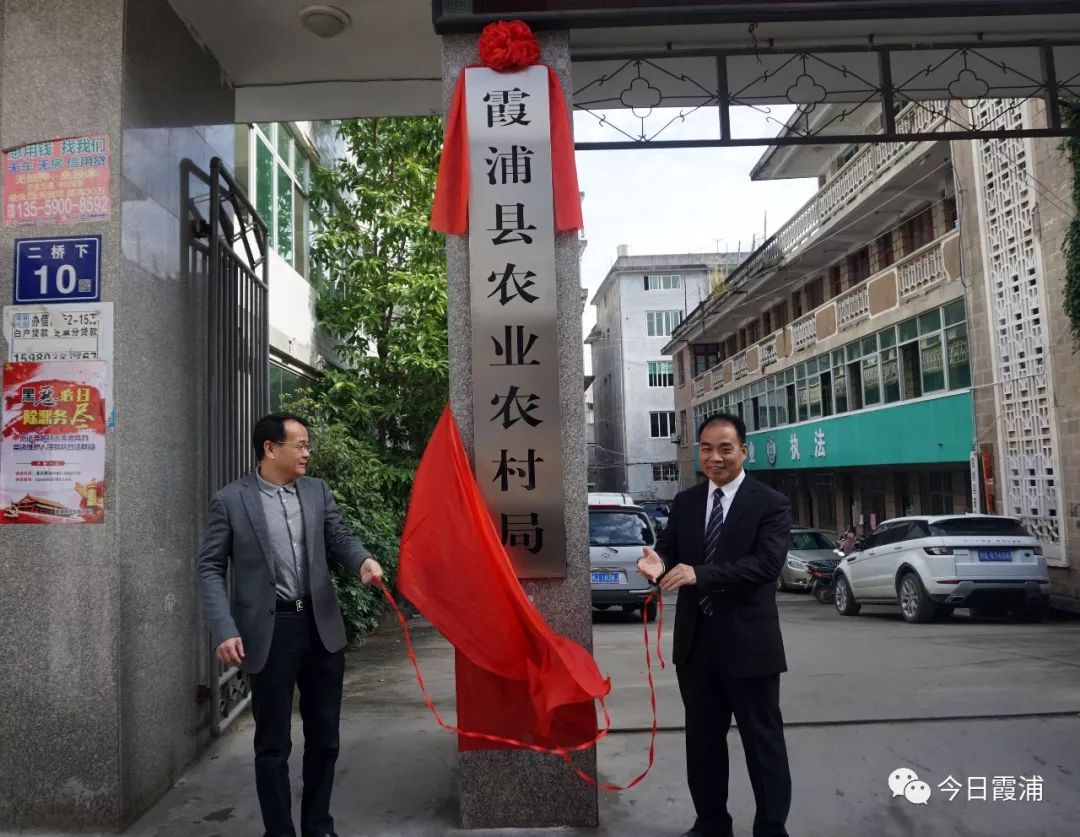 安远县发展和改革局最新项目概览