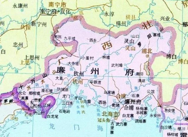 钦州市国家税务局最新人事任命公告