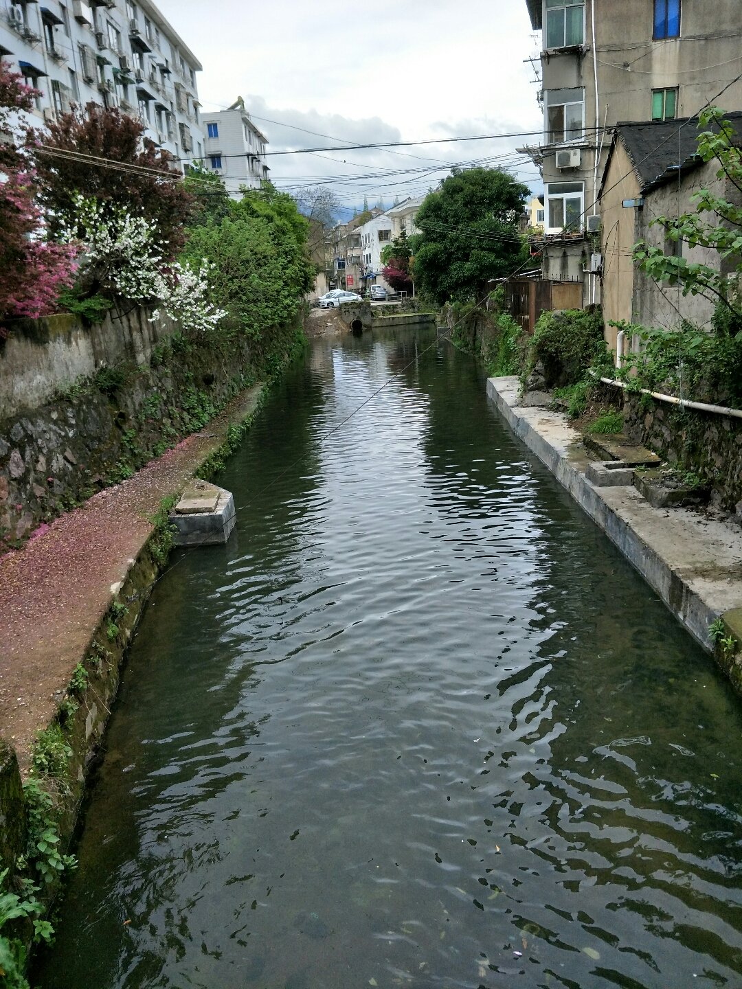 上浦镇天气预报更新通知