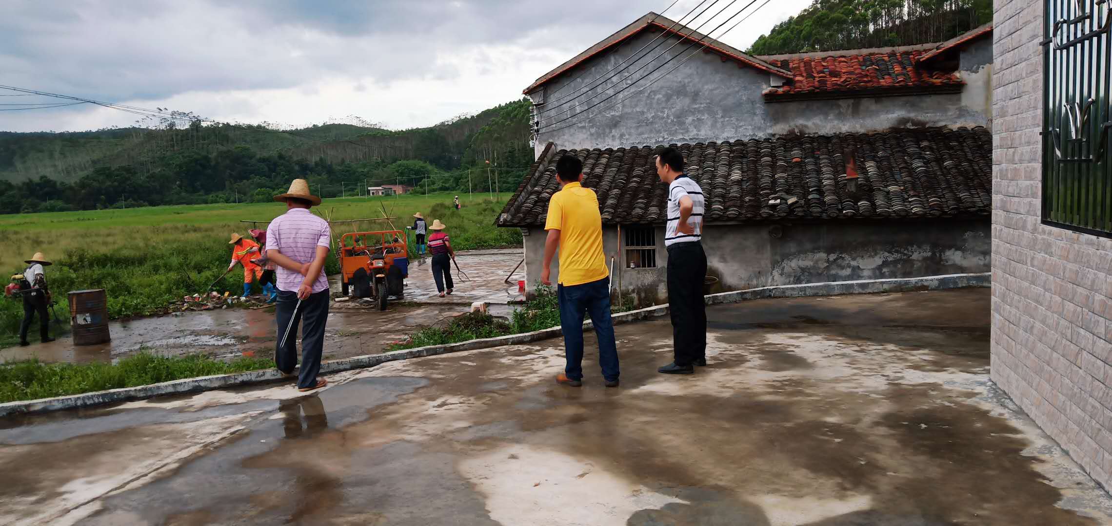 糠布村新任领导，引领乡村发展的核心力量