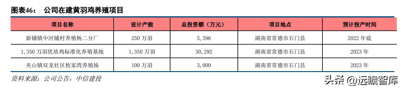 方兴社区最新新闻发布