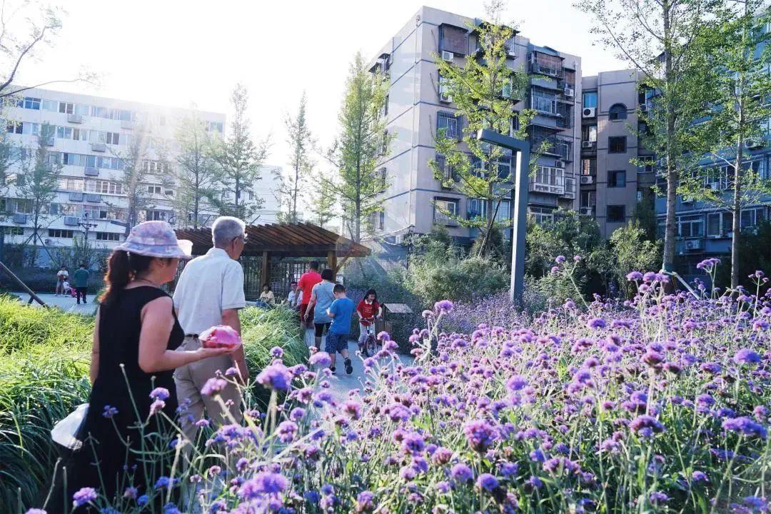 林荫街道最新发展规划，重塑城市魅力，激发城市活力