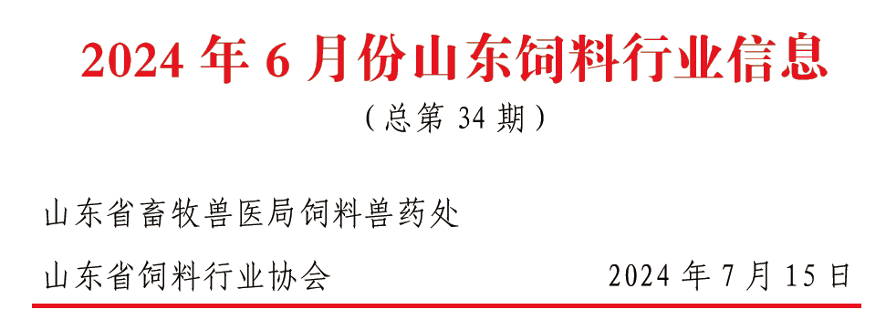 2024年香港开奖结果记录,专业解析说明_网红版72.385