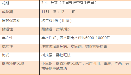 新澳天天开奖资料大全272期,实践说明解析_V235.192