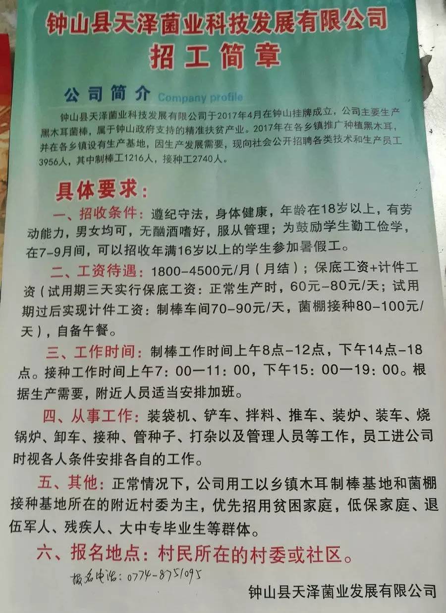 博尚镇最新招聘信息全面解析