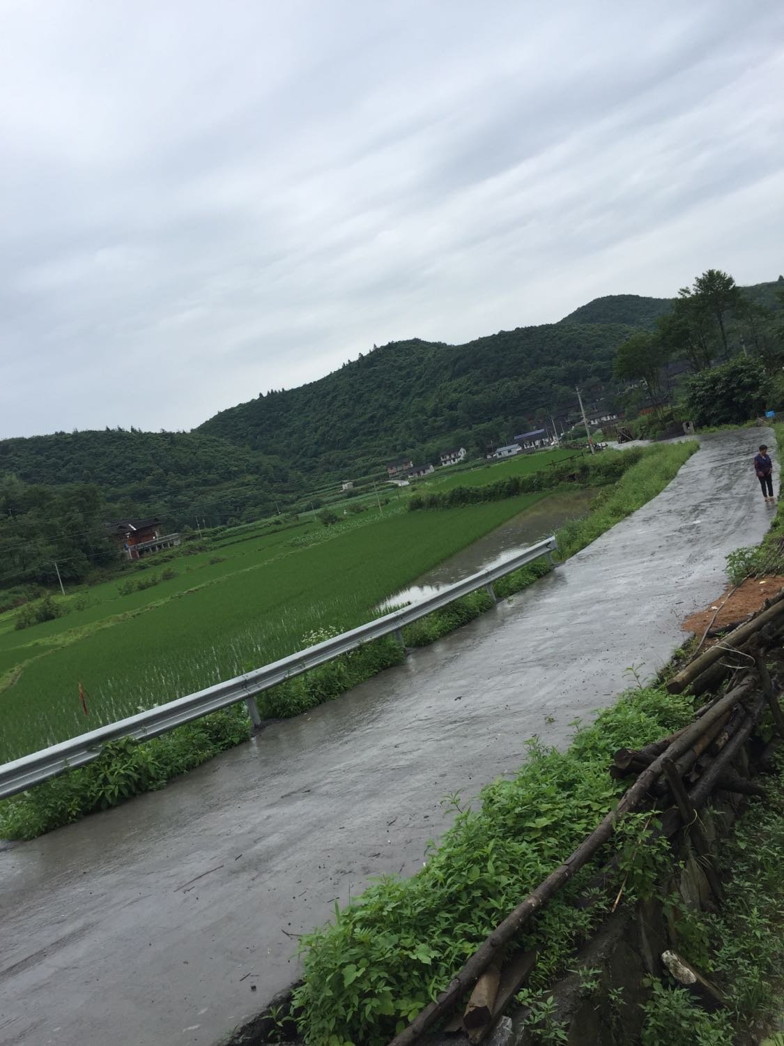 两河镇天气预报更新通知