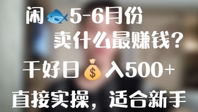 2024新奥天天资料免费大全,数据解析支持方案_潮流版22.898