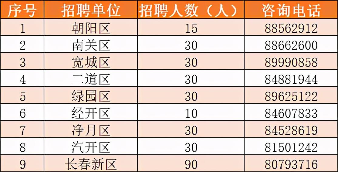 九台市发展和改革局最新招聘信息概览