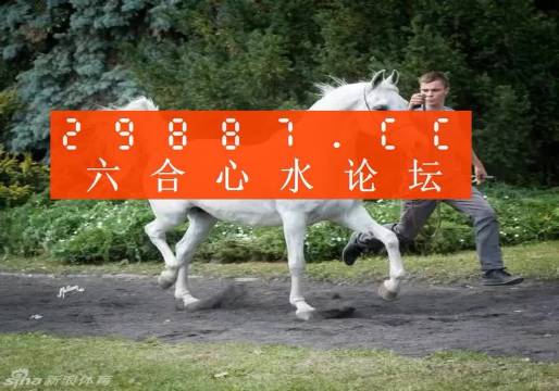 7777788888精准跑狗图正版,专业分析解释定义_娱乐版56.698