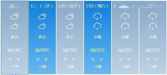 2024年12月7日 第15页