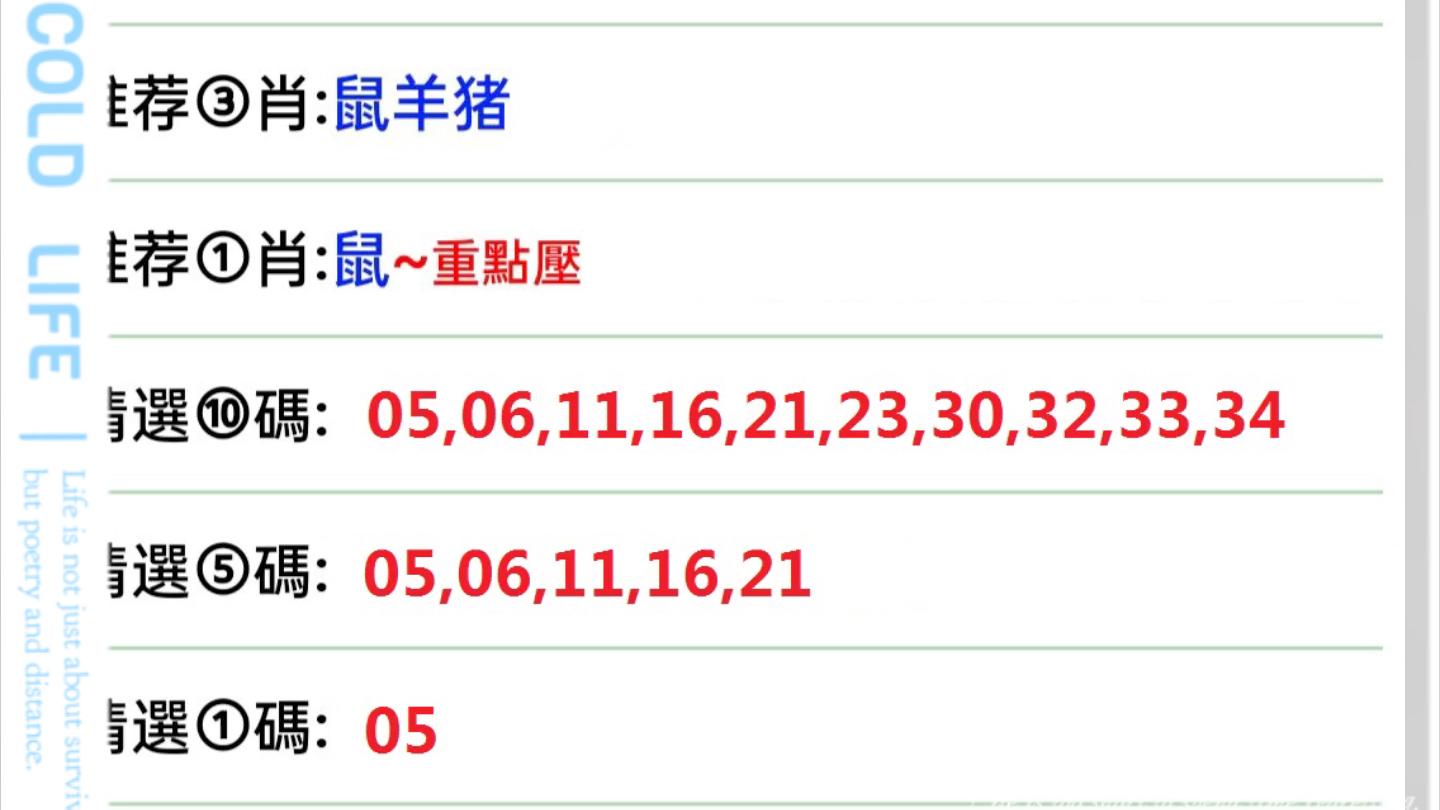 今晚澳门码特开什么号码,迅捷解答方案实施_专业款78.710