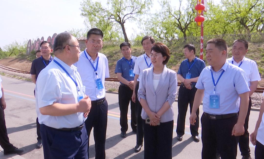 共和县农业农村局新项目推动农业现代化，乡村振兴再添动力