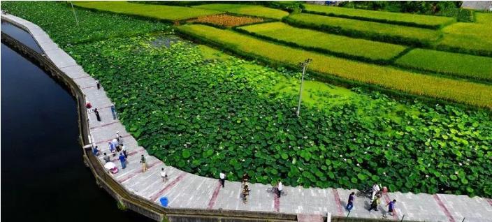 绵阳市林业局最新动态报道