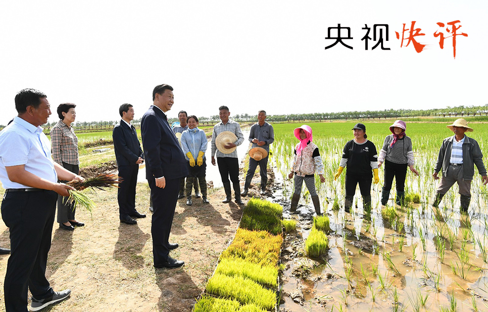 牛川村民委员会交通新闻更新