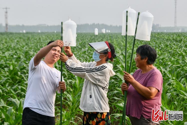 南高乡最新新闻简报