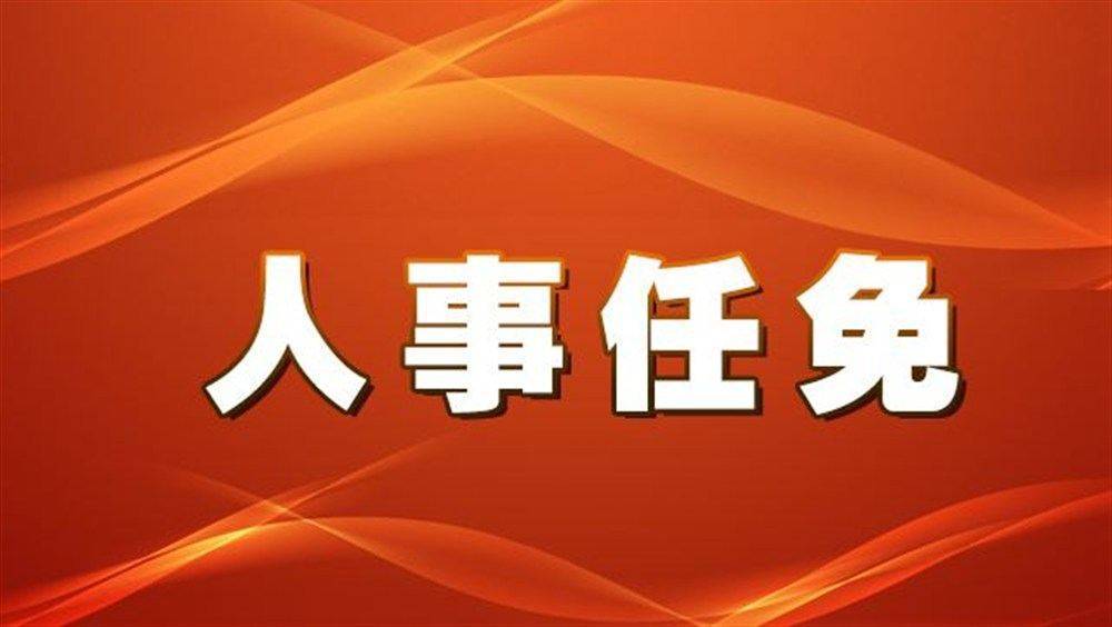 闸北区级托养福利事业单位人事任命揭晓及其影响