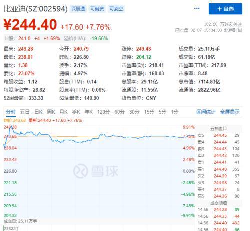 2024澳门特马今晚开奖113期,理论解答解释定义_AP86.546