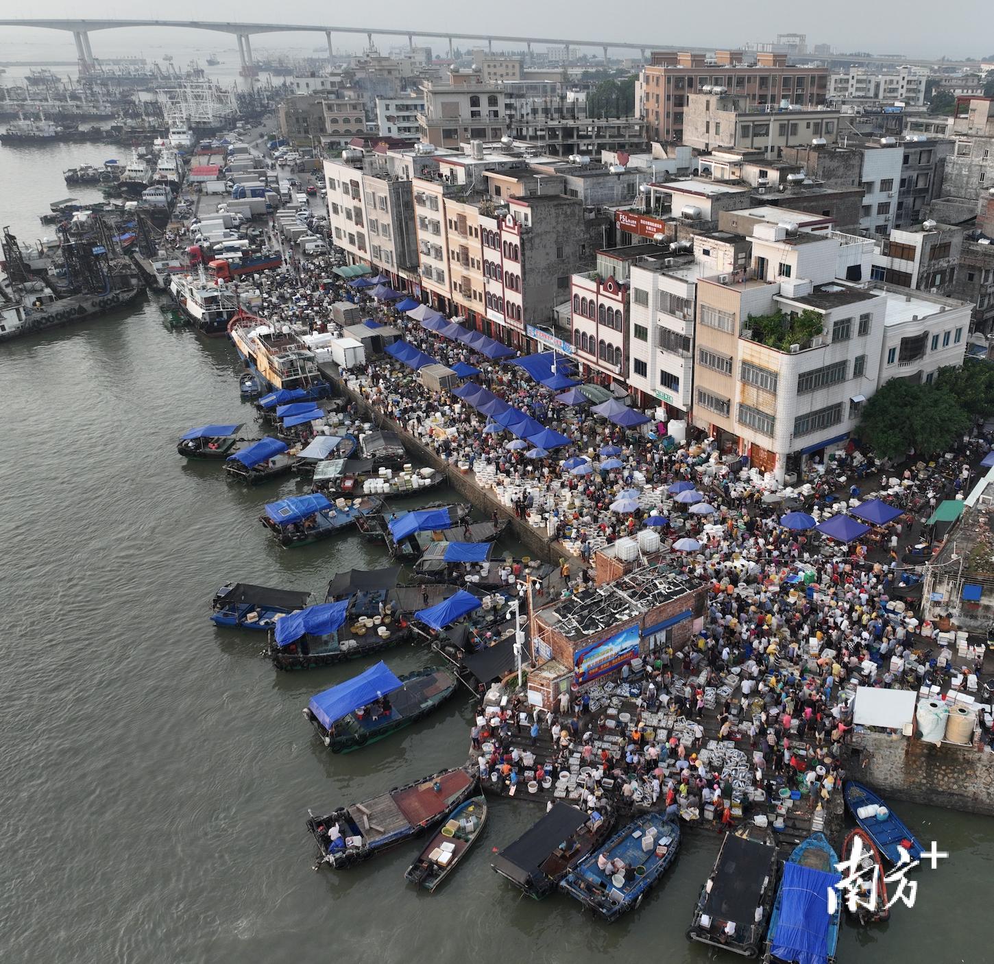 滨海港镇最新领导团队引领港口新发展