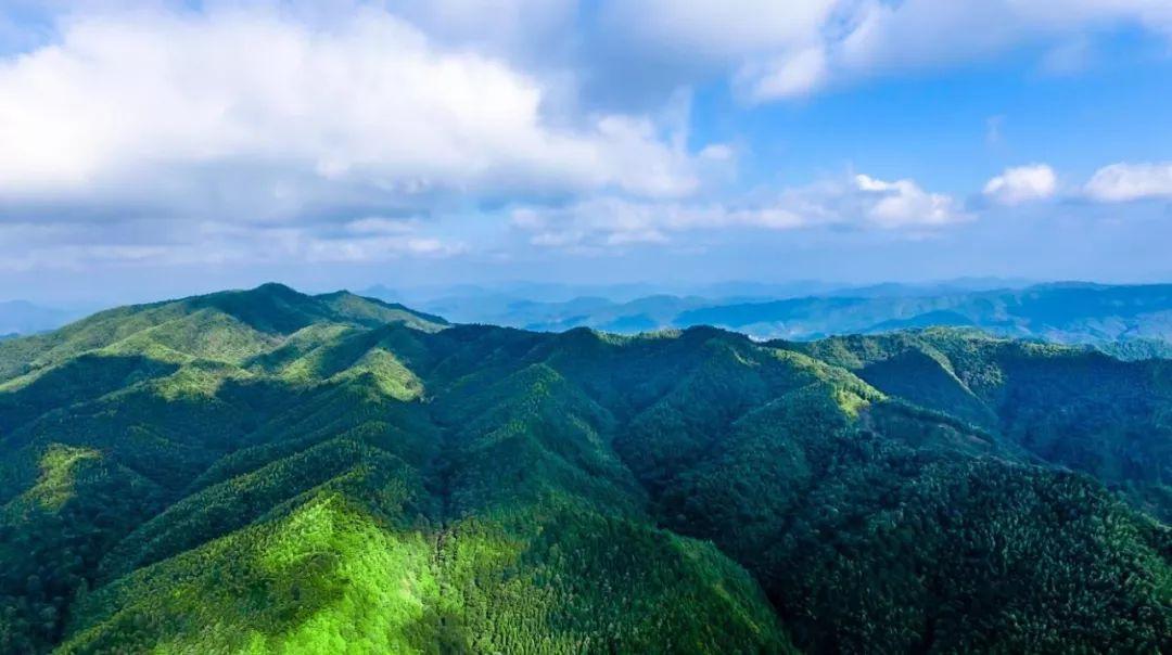 大同山林场天气预报更新通知