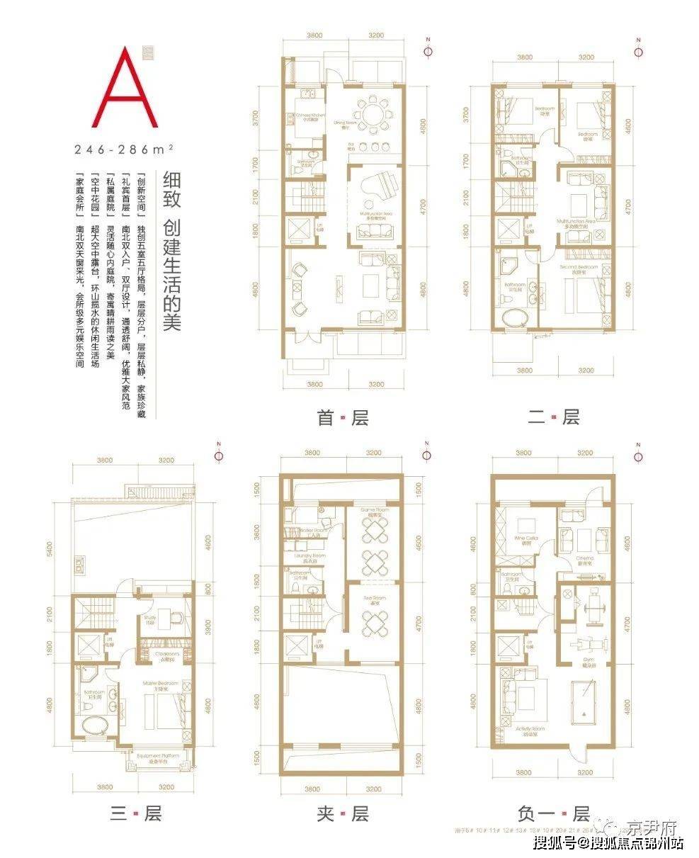 二四六香港资料期期准使用方法,全面数据解析执行_HarmonyOS19.437