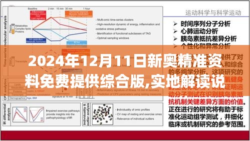 2024新奥最新资料,高效计划设计实施_入门版38.513