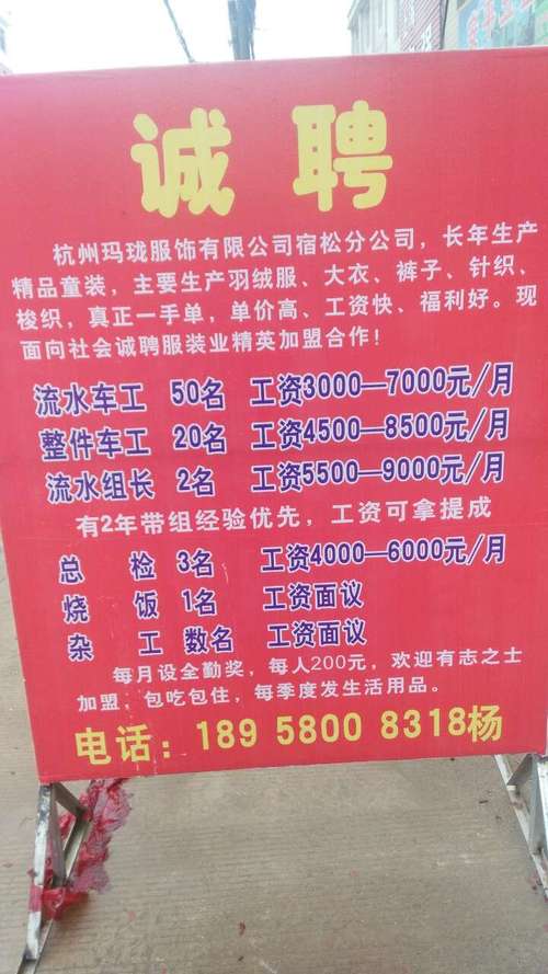 店下镇最新招聘信息概览