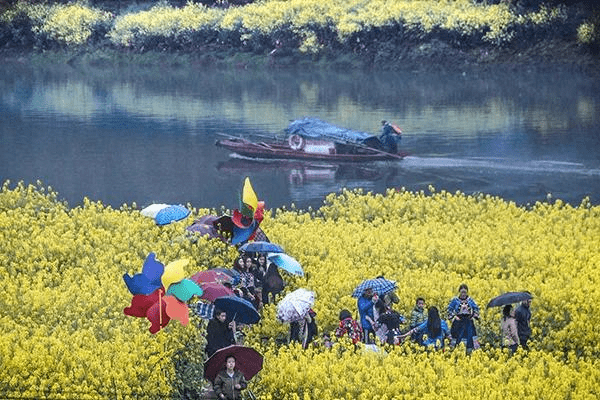 潭溪镇最新项目，地区发展璀璨明珠引领前行