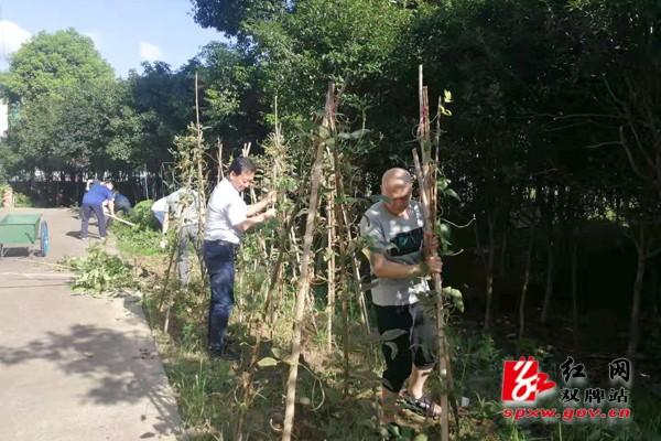 双牌县市场监督管理局最新发展规划概览