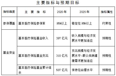 县医疗保障局最新发展规划