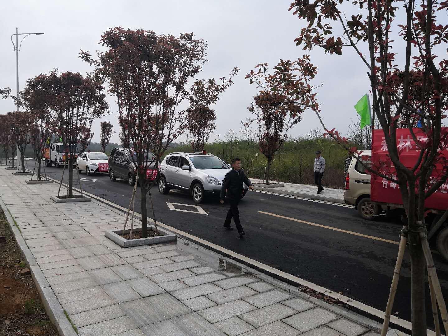 衡阳县岣嵝峰林场最新动态报道