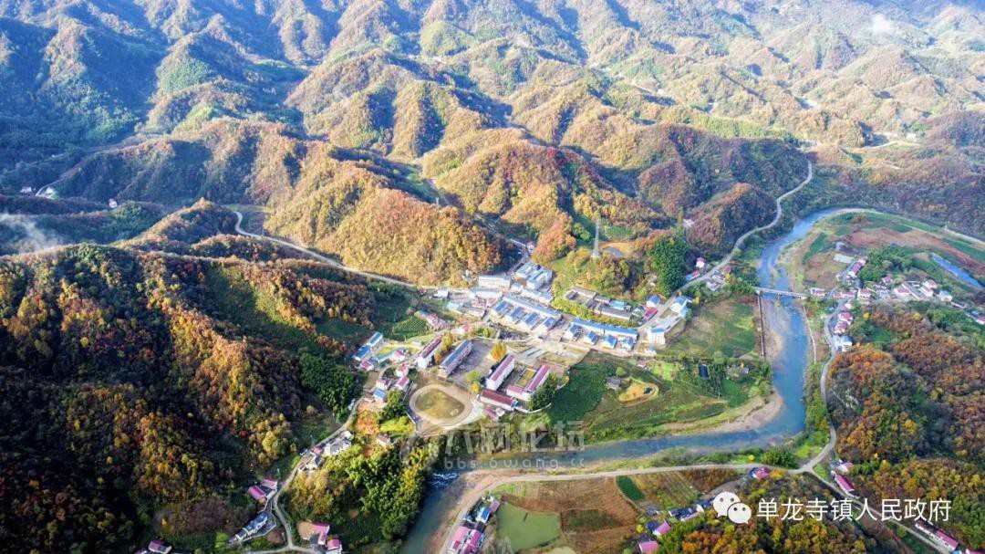 山西省临汾市洪洞县兴唐寺乡发展规划概览