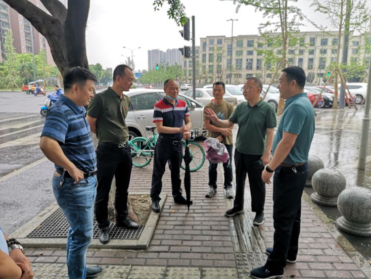 菩提街道交通新动态，重塑城市交通脉络