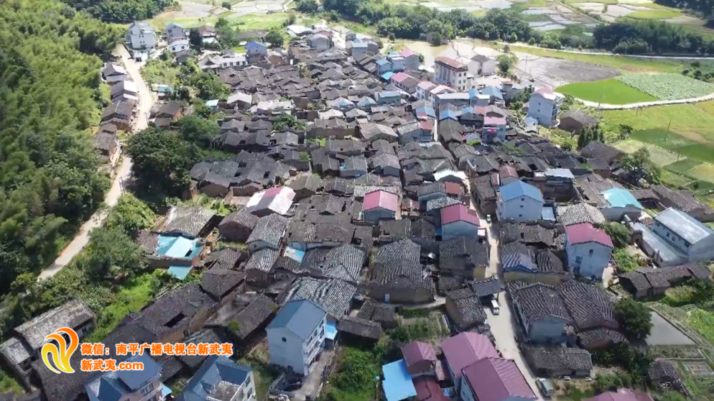 陆山村委会新项目，重塑乡村，迈向繁荣之路