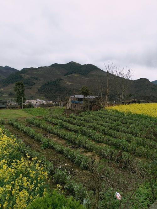 峰山乡最新天气预报详解