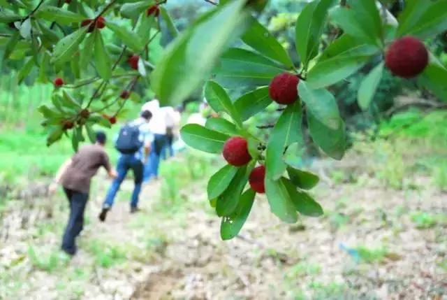 小碧乡最新新闻动态报道