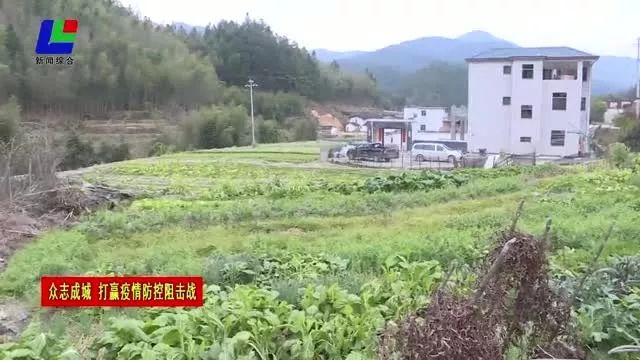 水丰农场迈向现代农业新征程的最新动态报道。