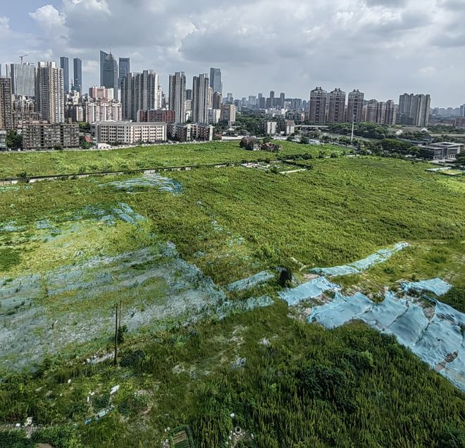 民主街道未来蓝图，最新发展规划塑造城市面貌新篇章