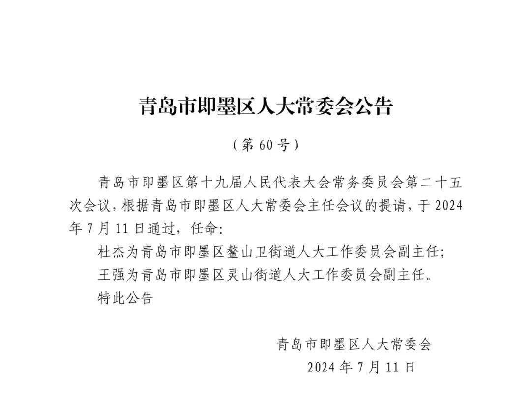 白岩最新人事任命，重塑未来引领变革的领导者